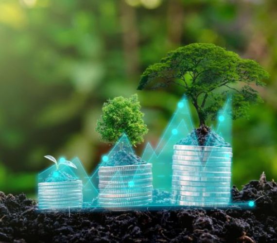 la-piantina-sul-profitto-dell-investimento-per-la-crescita-delle-piante-da-soldi-dal-concetto-di-business-in-crescita-1 la-piantina-sul-profitto-dell-investimento-per-la-crescita-delle-piante-da-soldi-dal-concetto-di-business-in-crescita-1